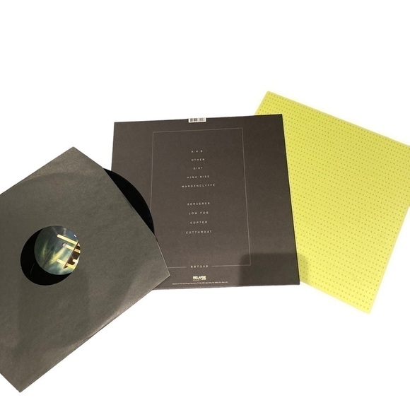 survive - RR7349 - Vinyl Record - Picture 4 of 5